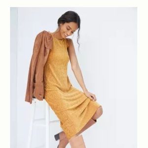 Maeve EXCLUSIVELY for Anthrologie SOLD OUT in store Twist-Back Velvet Midi Dress